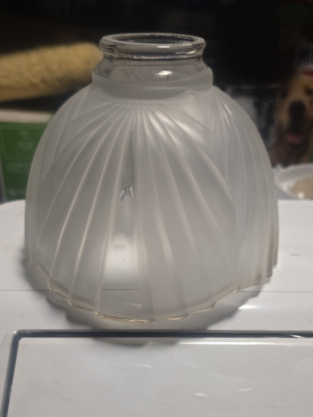 Vintage?Frosted Swirl Glass Lamp Shade - White